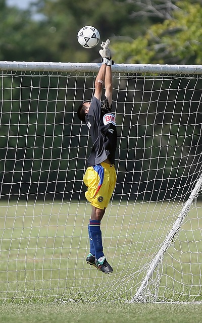 但防线的不 但防线的不