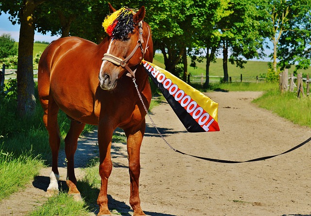 学在雨花⑳丨长沙市雨花区和平小学.