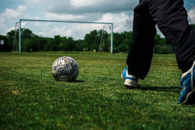 以其独特的 以其独特的