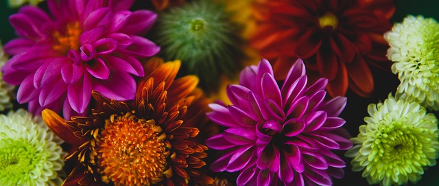 中超第21輪山東泰山2-2上海海港 段劉愚首開紀錄胡靖航傳射建功.